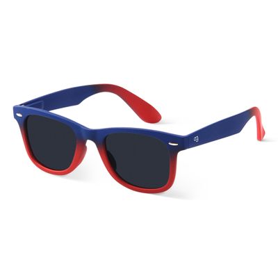 Capital Polarized Wayfarer Sunglasses
