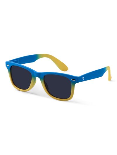 Indian Polarized Wayfarer Sunglasses