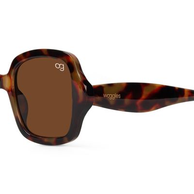 Monochromatic Brown Square Sunglasses Buy Monochromatic Brown Square Sunglasses