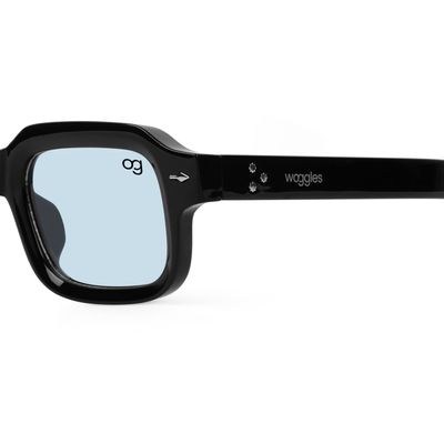 Buy Sundown Black Square Sunglasses