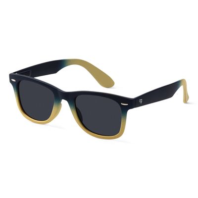 Titan Polarized Wayfarer Sunglasses